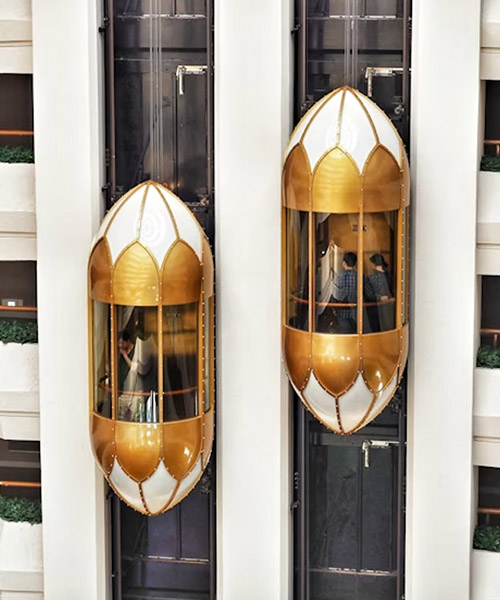Capsule Elevator